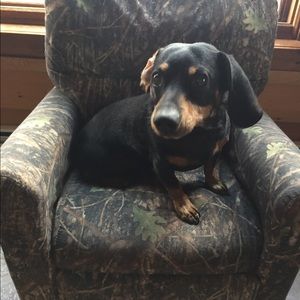 Meet your Posher, Krista